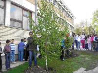 Sađenje mladog drveća pratili su učenici nižih razreda